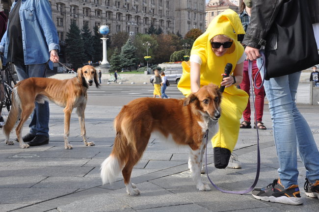Kyiv Media