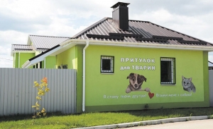 Kyiv Media
