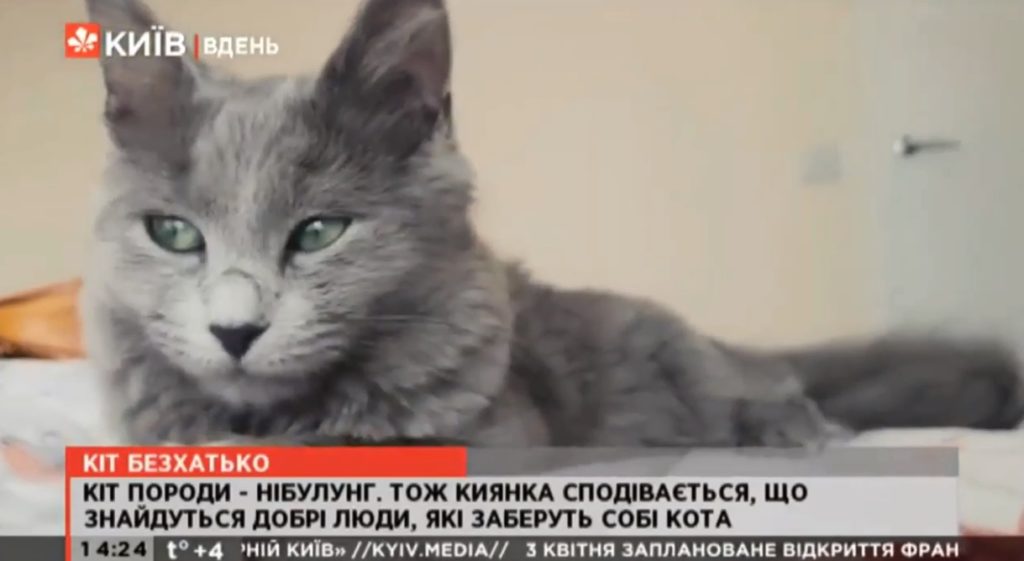 Kyiv Media
