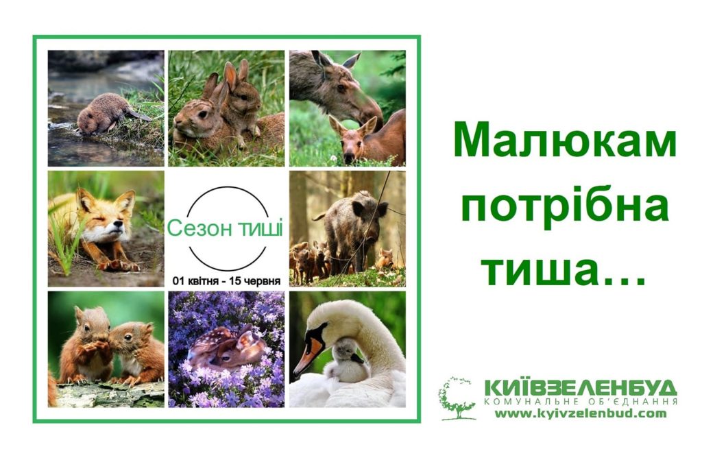 Kyiv Media