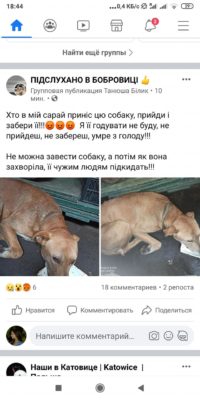 Kyiv Media