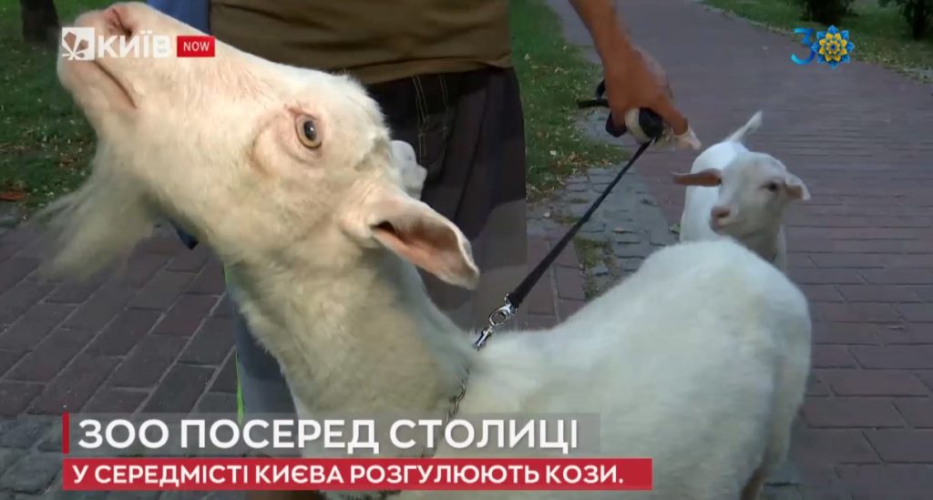 Kyiv Media