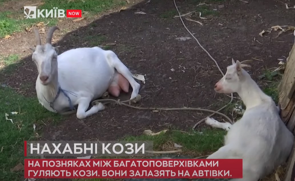 Kyiv Media