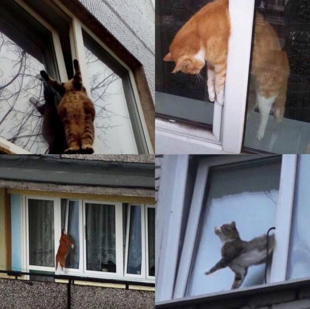 Kyiv Media