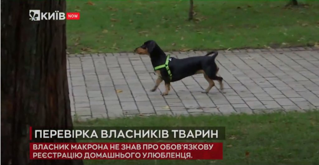 Kyiv Media