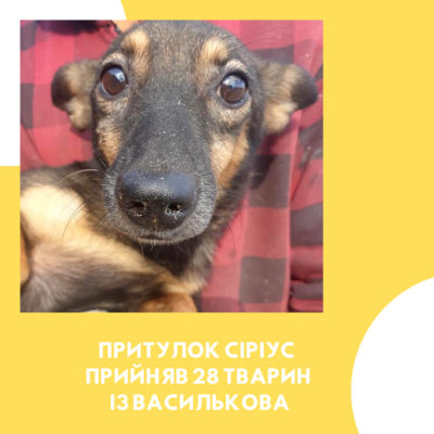 Kyiv Media