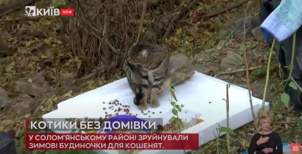 Kyiv Media