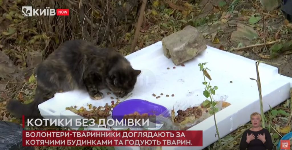 Kyiv Media