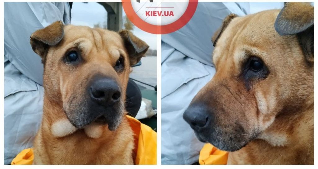 Kyiv Media