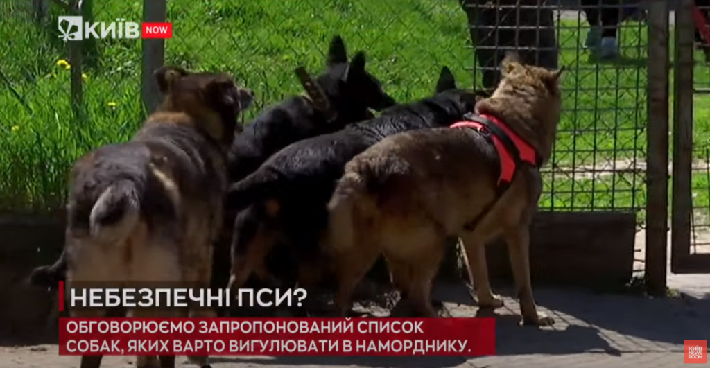 Kyiv Media