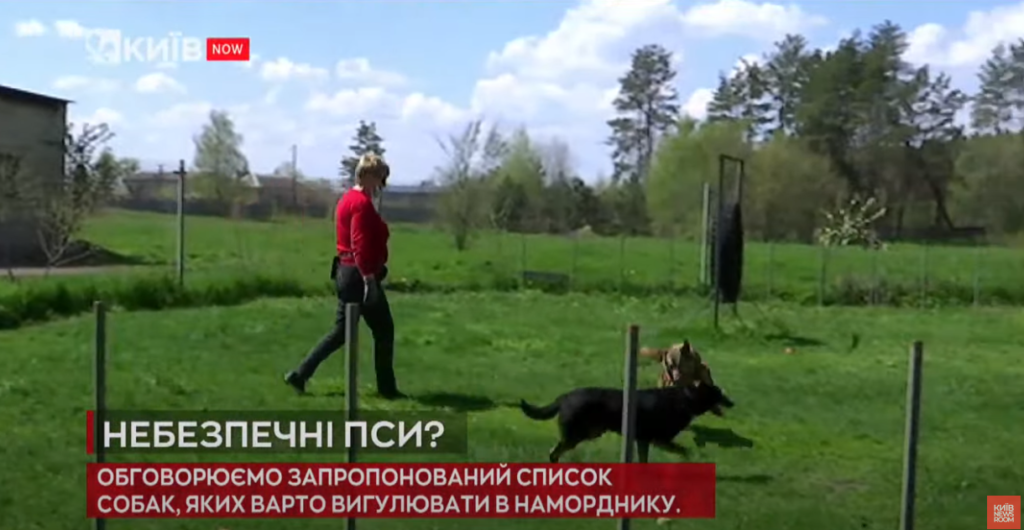 Kyiv Media