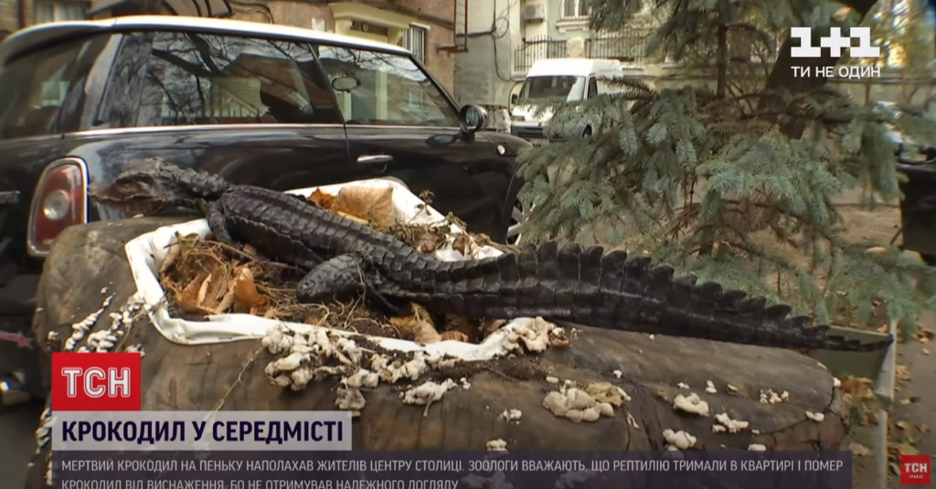 Kyiv Media