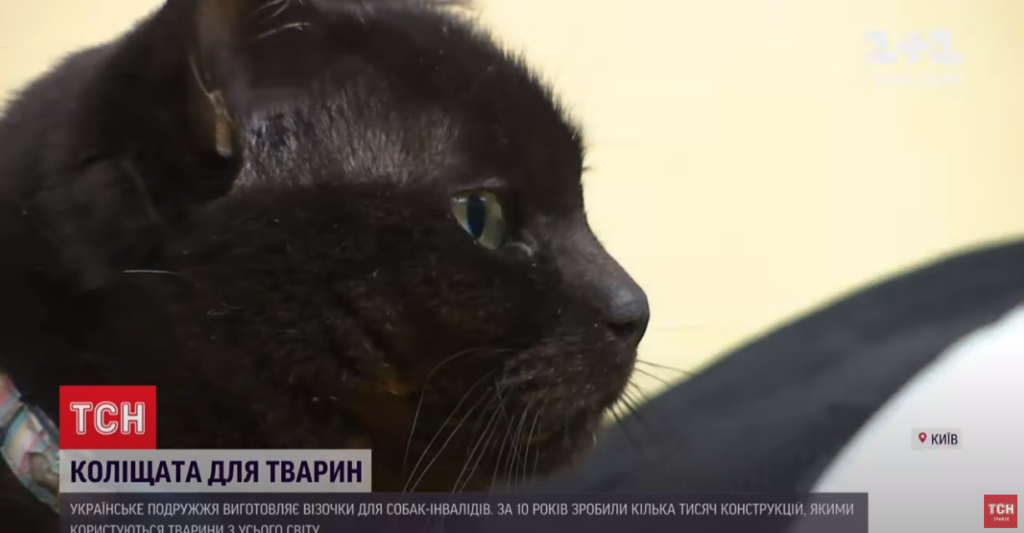 Kyiv Media