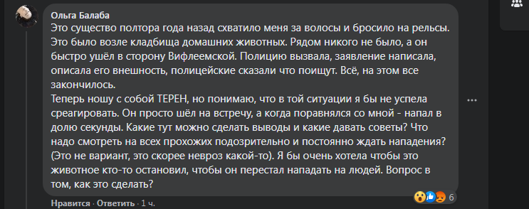 Kyiv Media