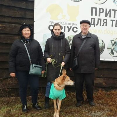 Kyiv Media