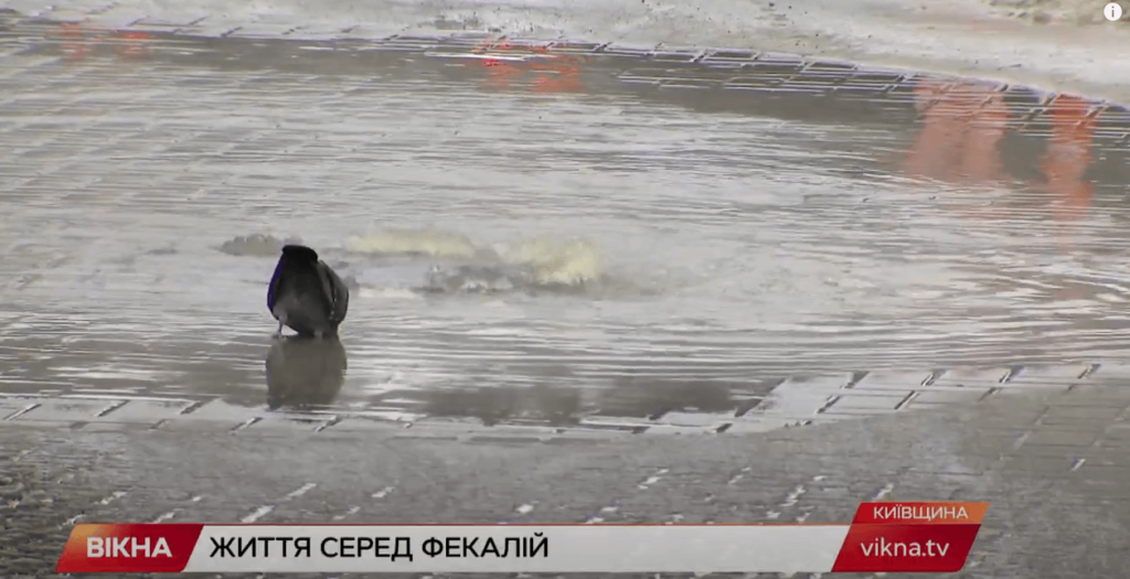 Kyiv Media