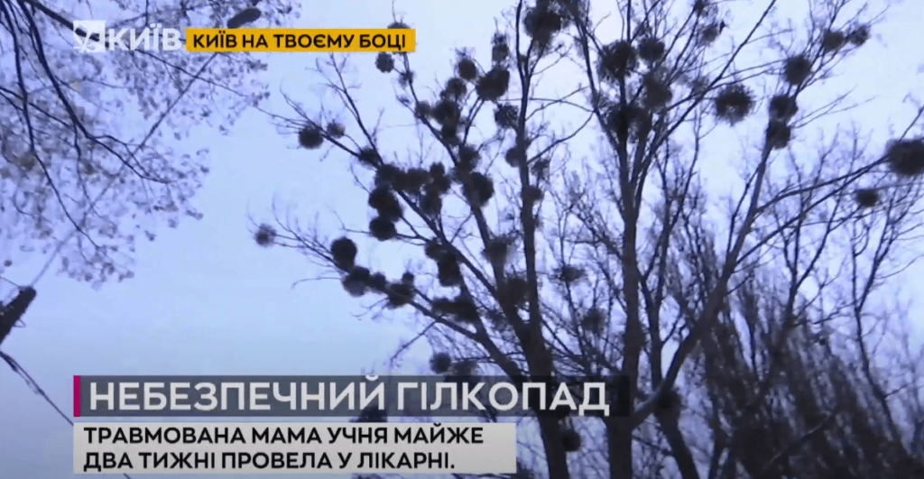 Kyiv Media