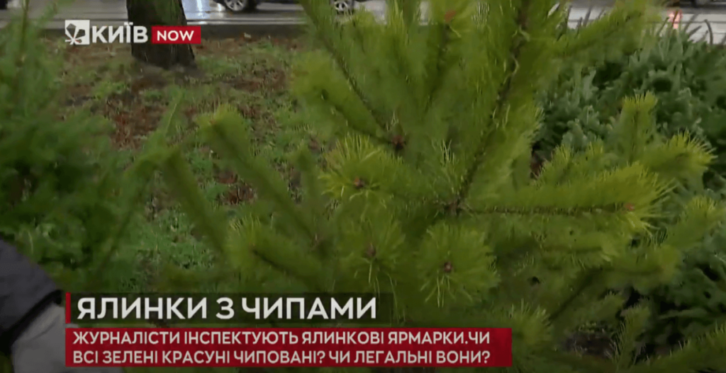 Kyiv Media