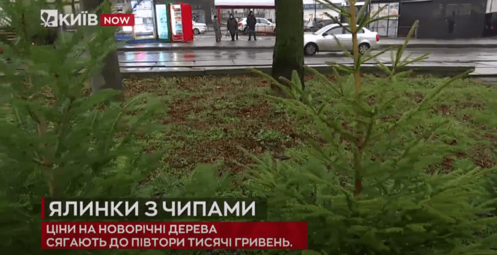 Kyiv Media