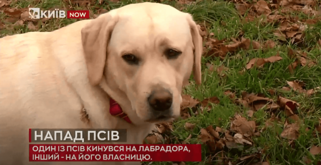 Kyiv Media