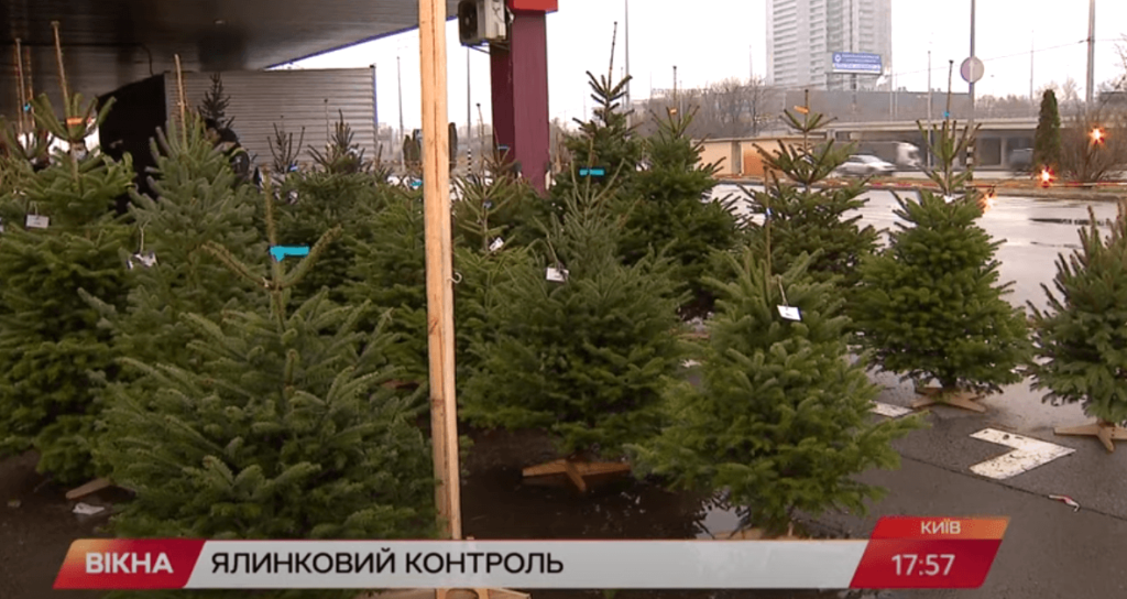 Kyiv Media