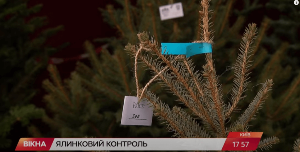 Kyiv Media