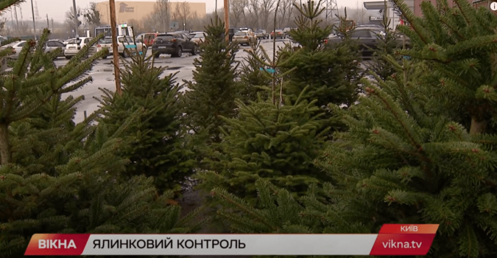 Kyiv Media