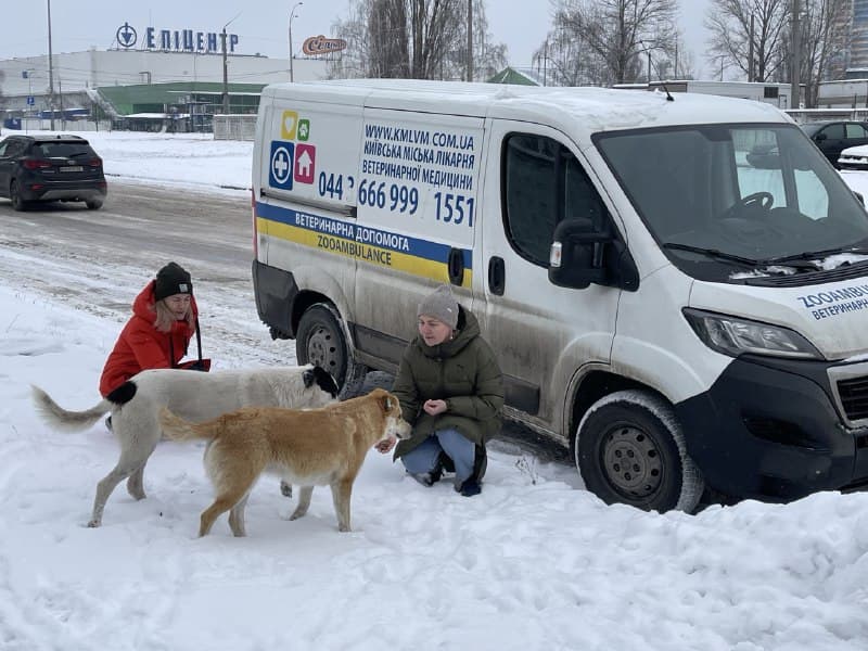 Kyiv Media