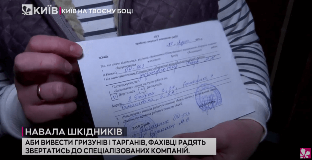 Kyiv Media