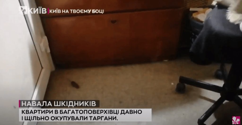 Kyiv Media