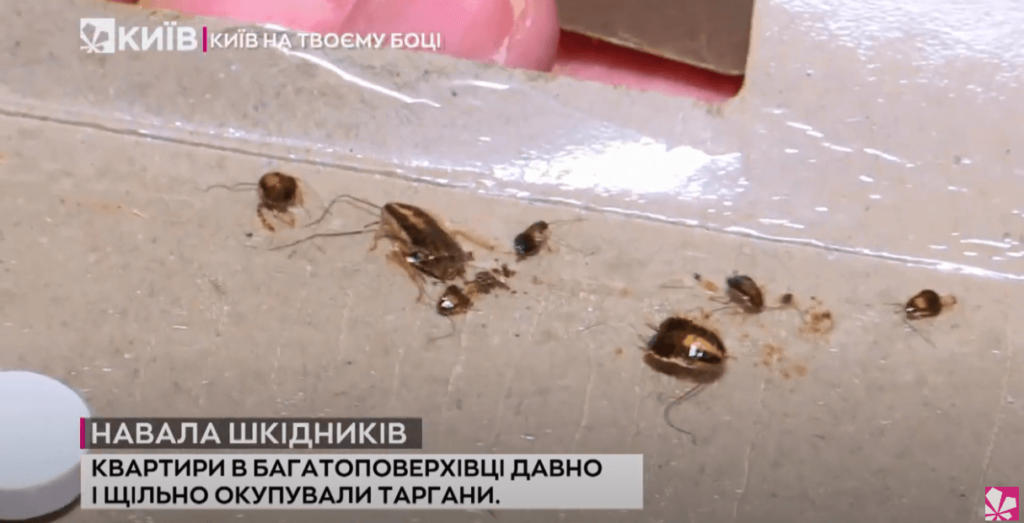 Kyiv Media