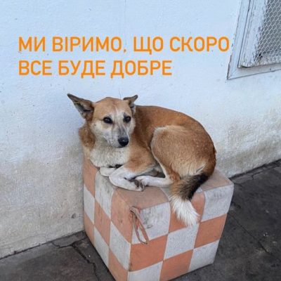 Kyiv Media