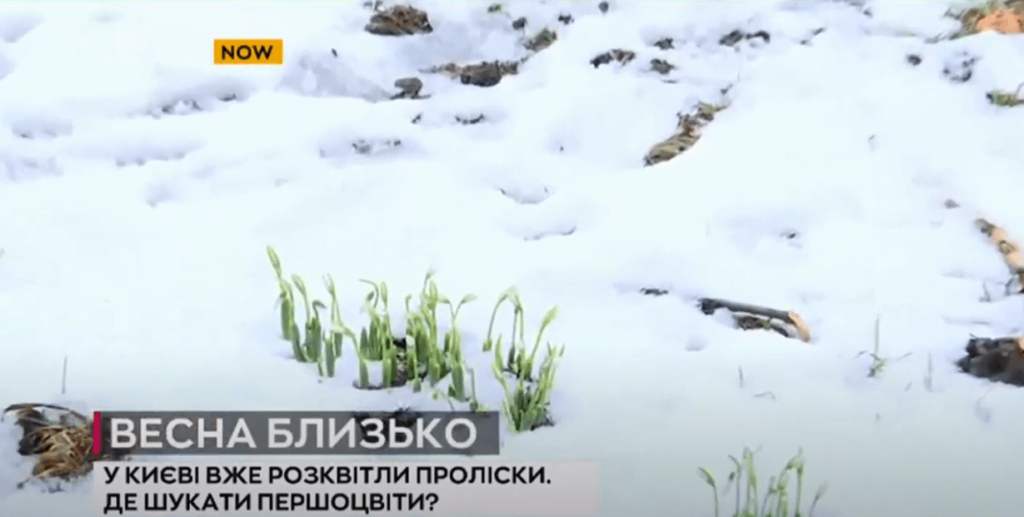 Kyiv Media