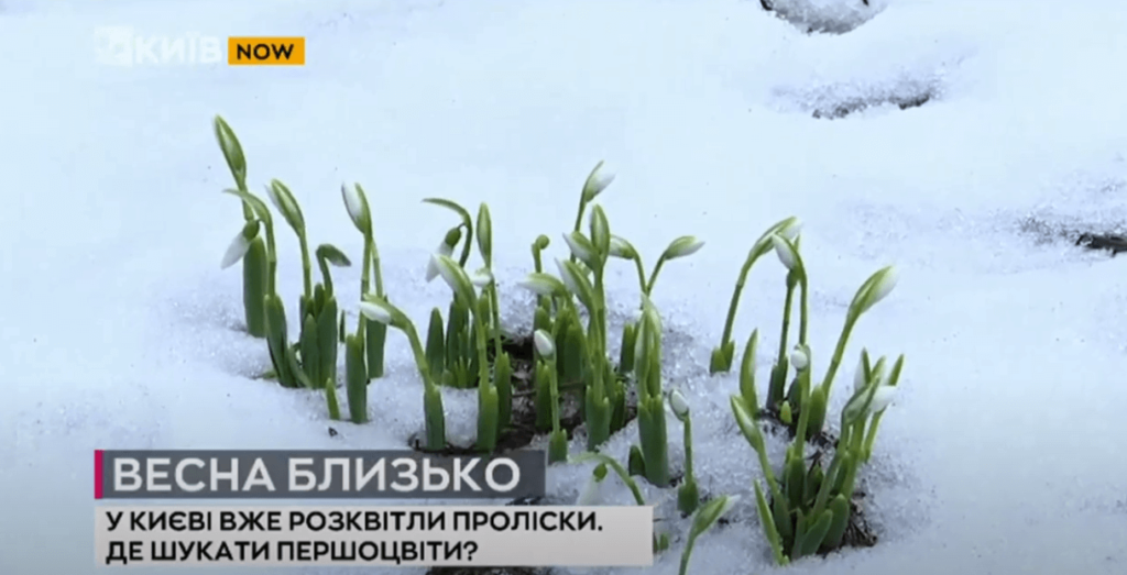 Kyiv Media