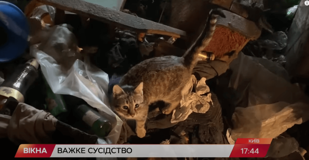 Kyiv Media