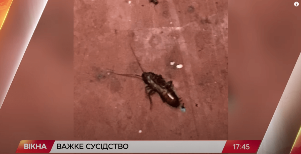 Kyiv Media