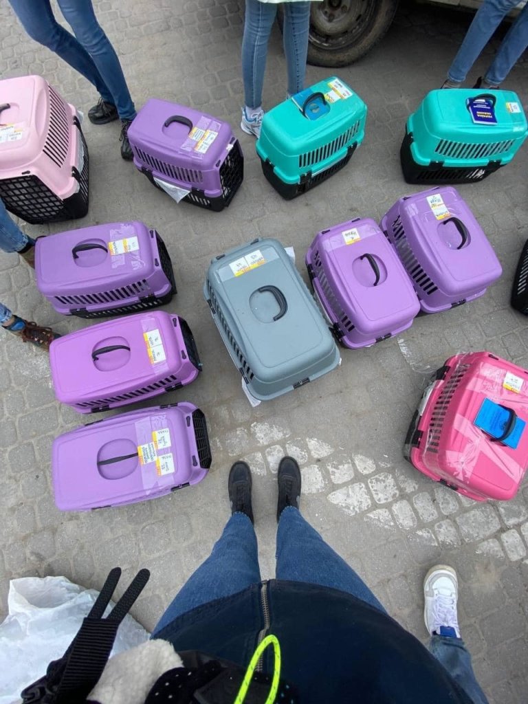 Kyiv Media