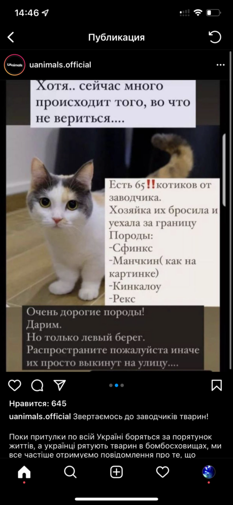 Kyiv Media