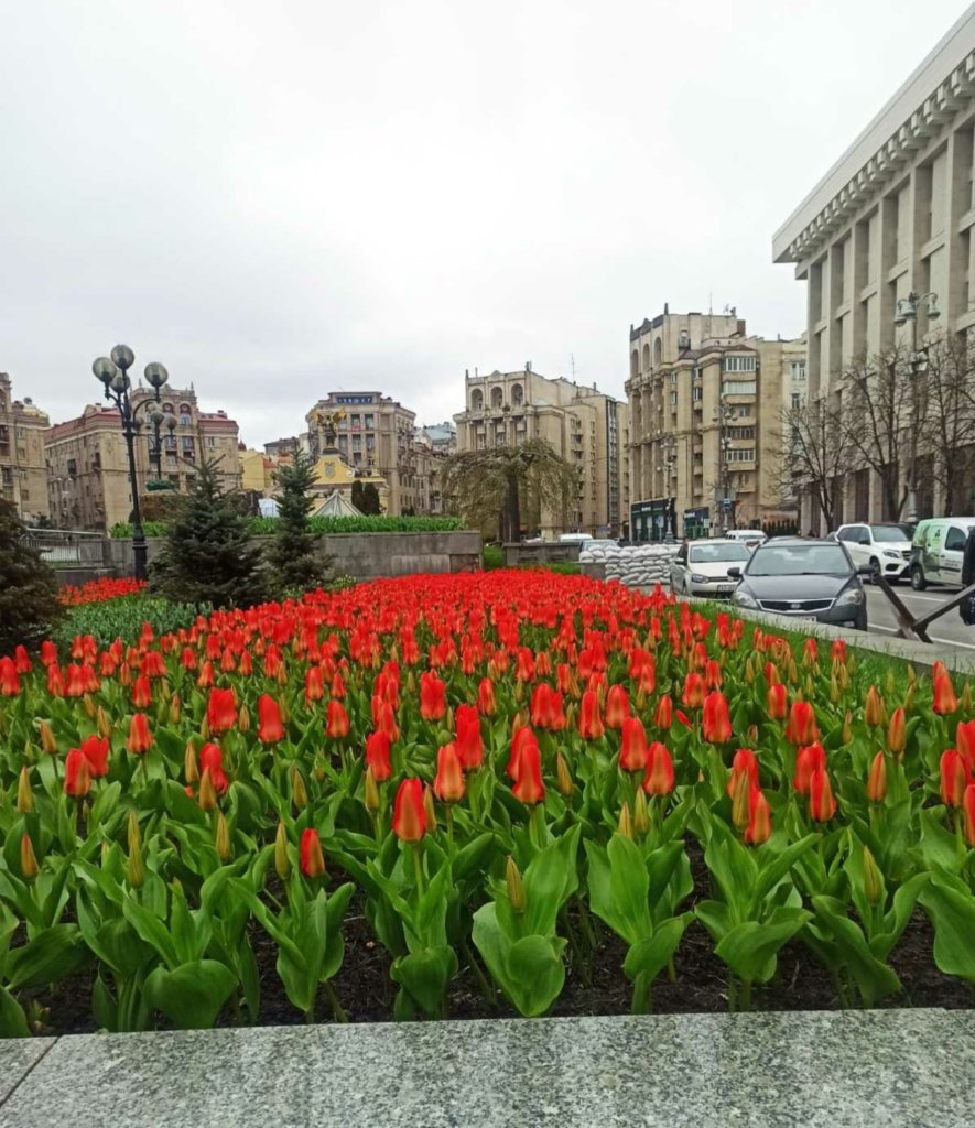 Kyiv Media