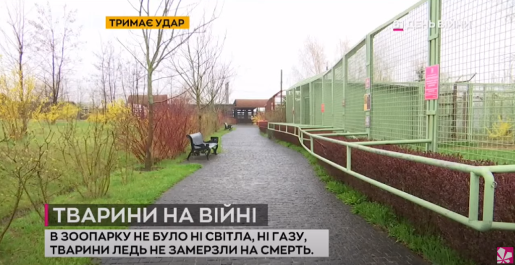 Kyiv Media