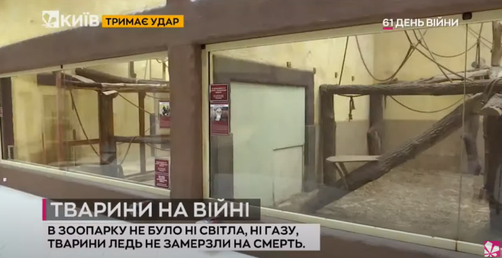 Kyiv Media