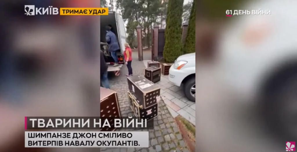 Kyiv Media