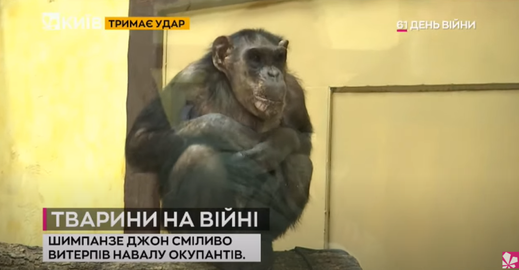 Kyiv Media