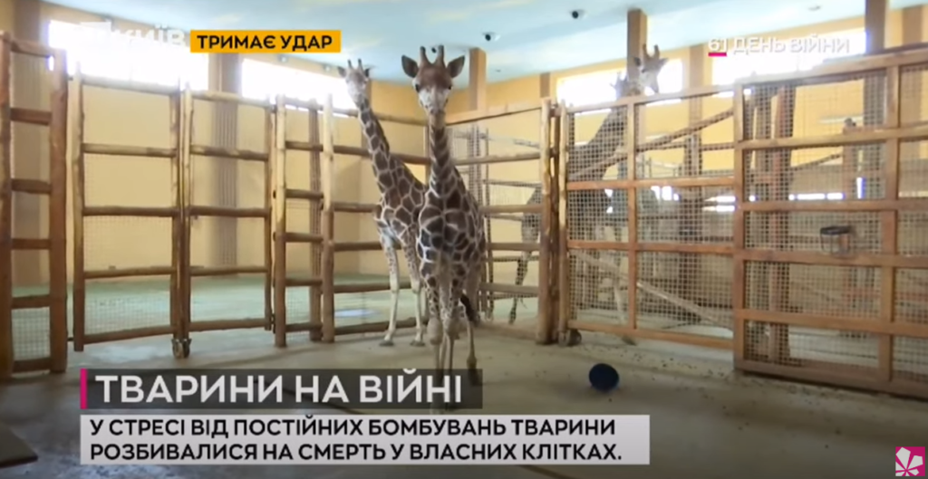 Kyiv Media