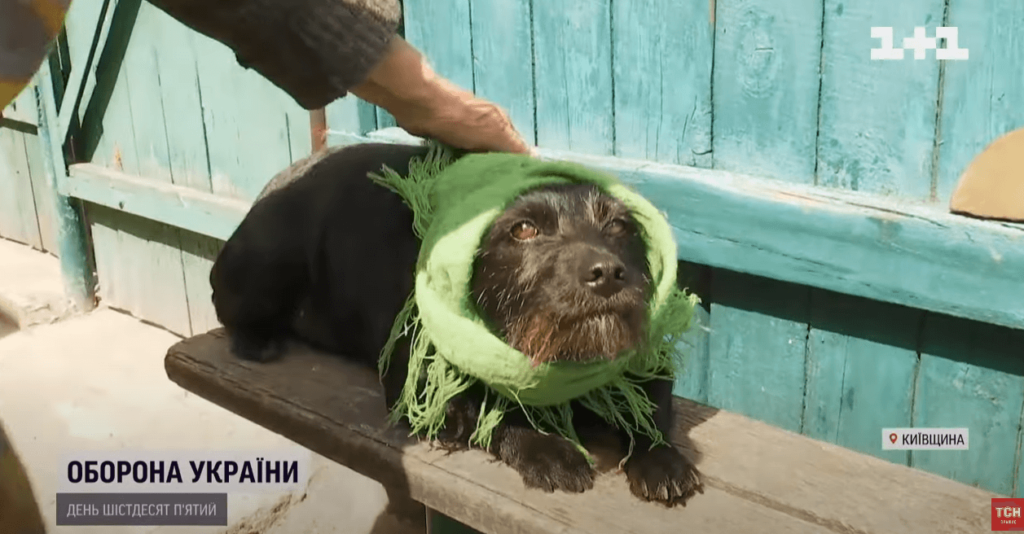 Kyiv Media