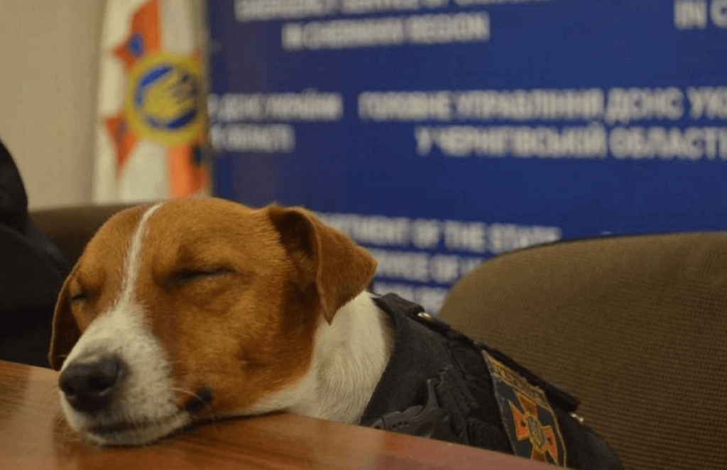 Kyiv Media