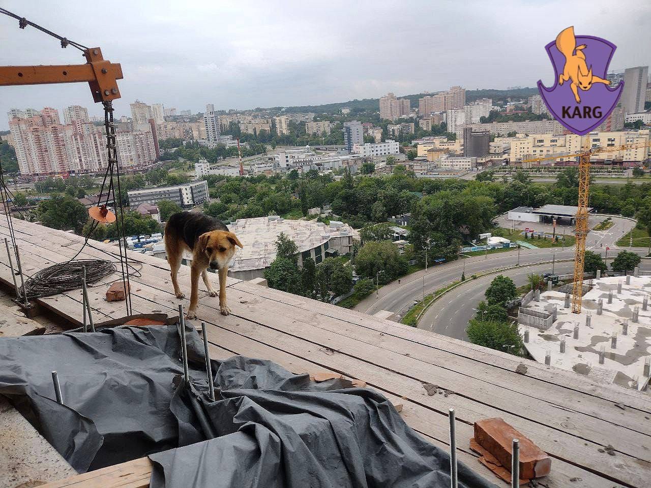 Київ Media