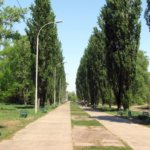 КИЇВ24