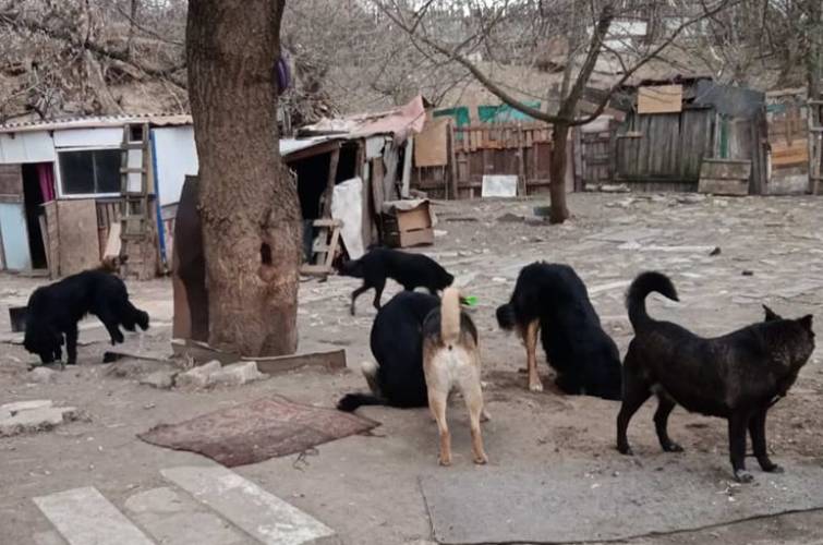 КИЇВ24