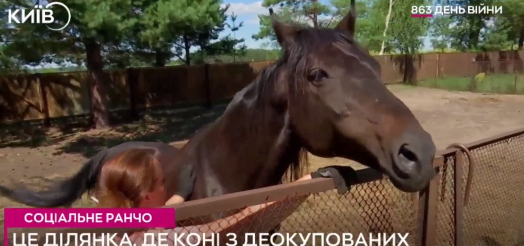 КИЇВ24